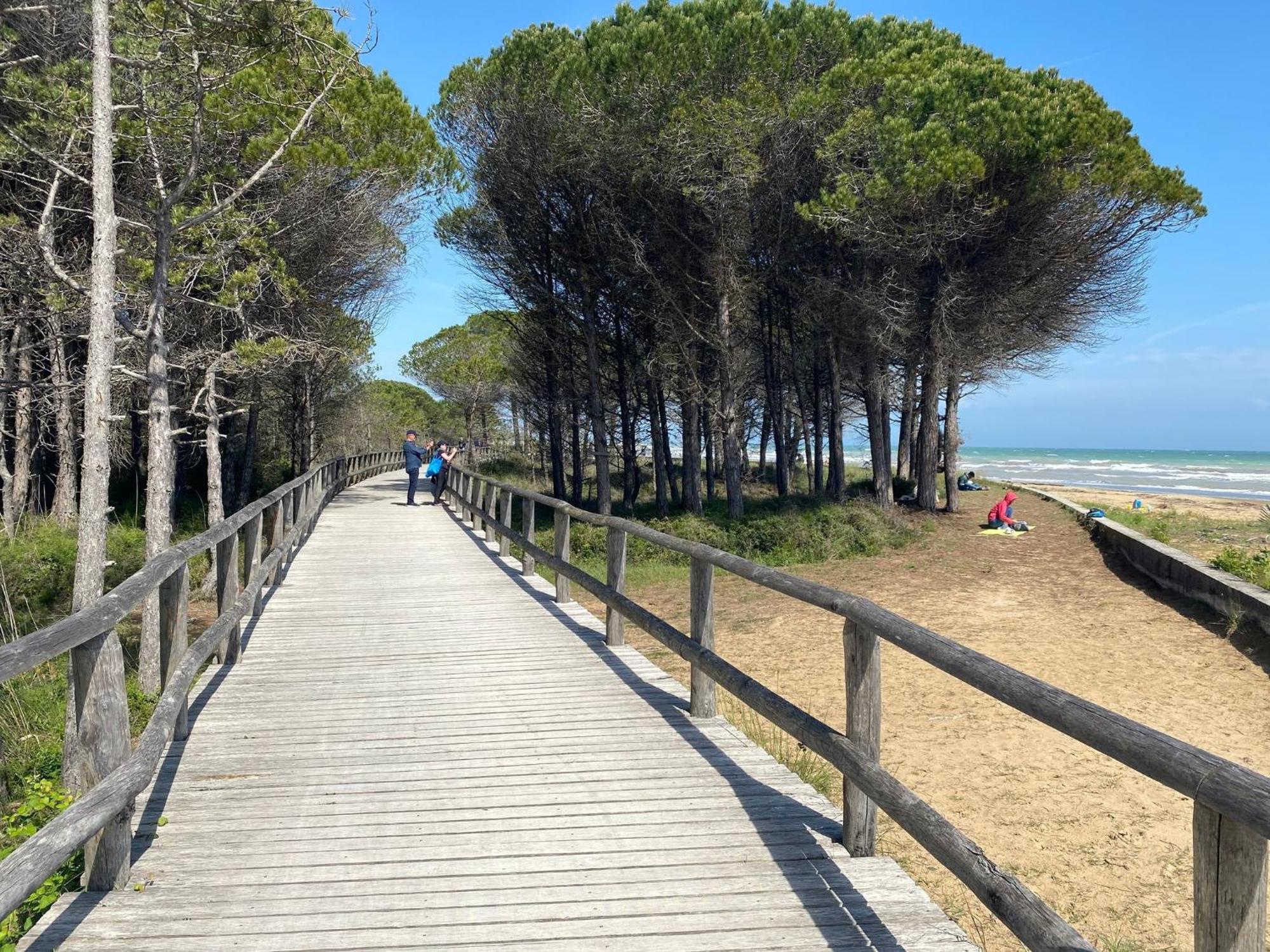 Apartment Functional 1 Bedroom With Shared Pool Bibione